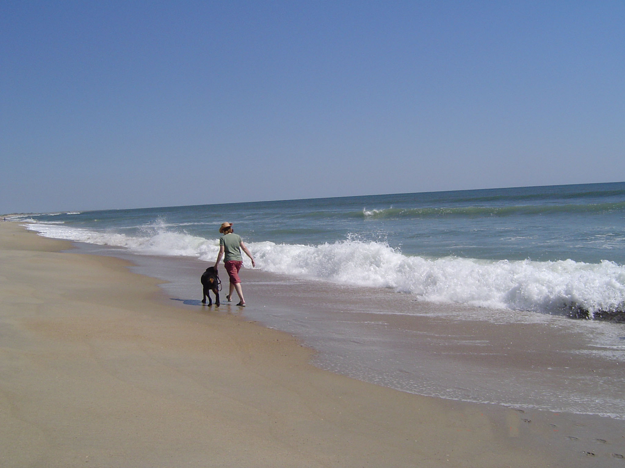 Laura walking Odin on a Hatteras, NC beach