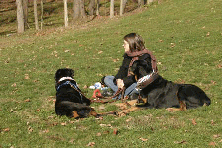 Laura with dogs Kai & Gunner