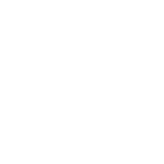 veterinarian stethoscope icon